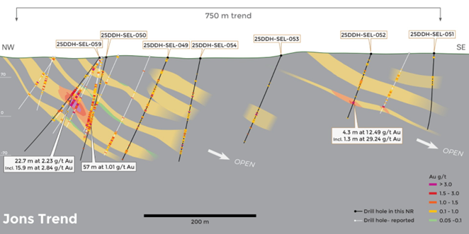Long section through Jons trend, showing an implicit grade model clipped to model vein wireframes. The reader is cautioned this is for drill targeting only and more drilling is required to verify grades of modeled zones.
