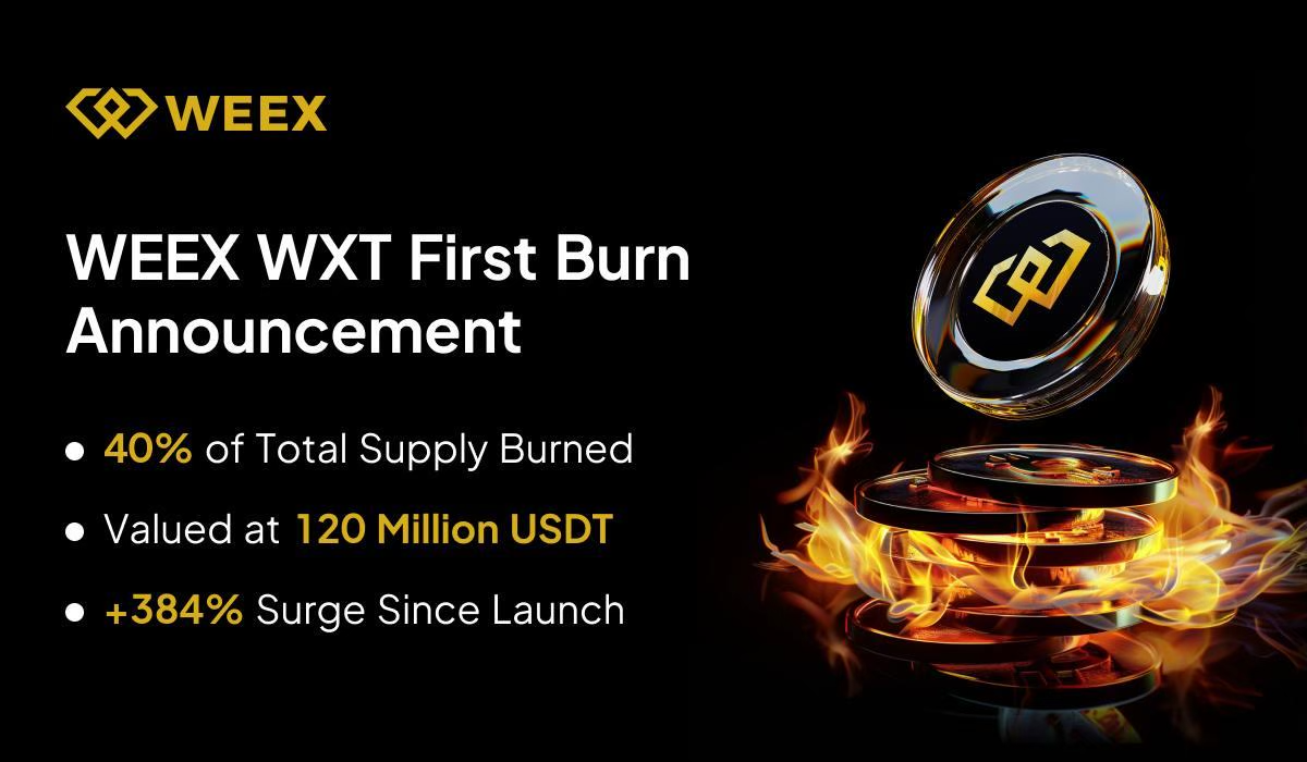 WEEX WXT First Burn