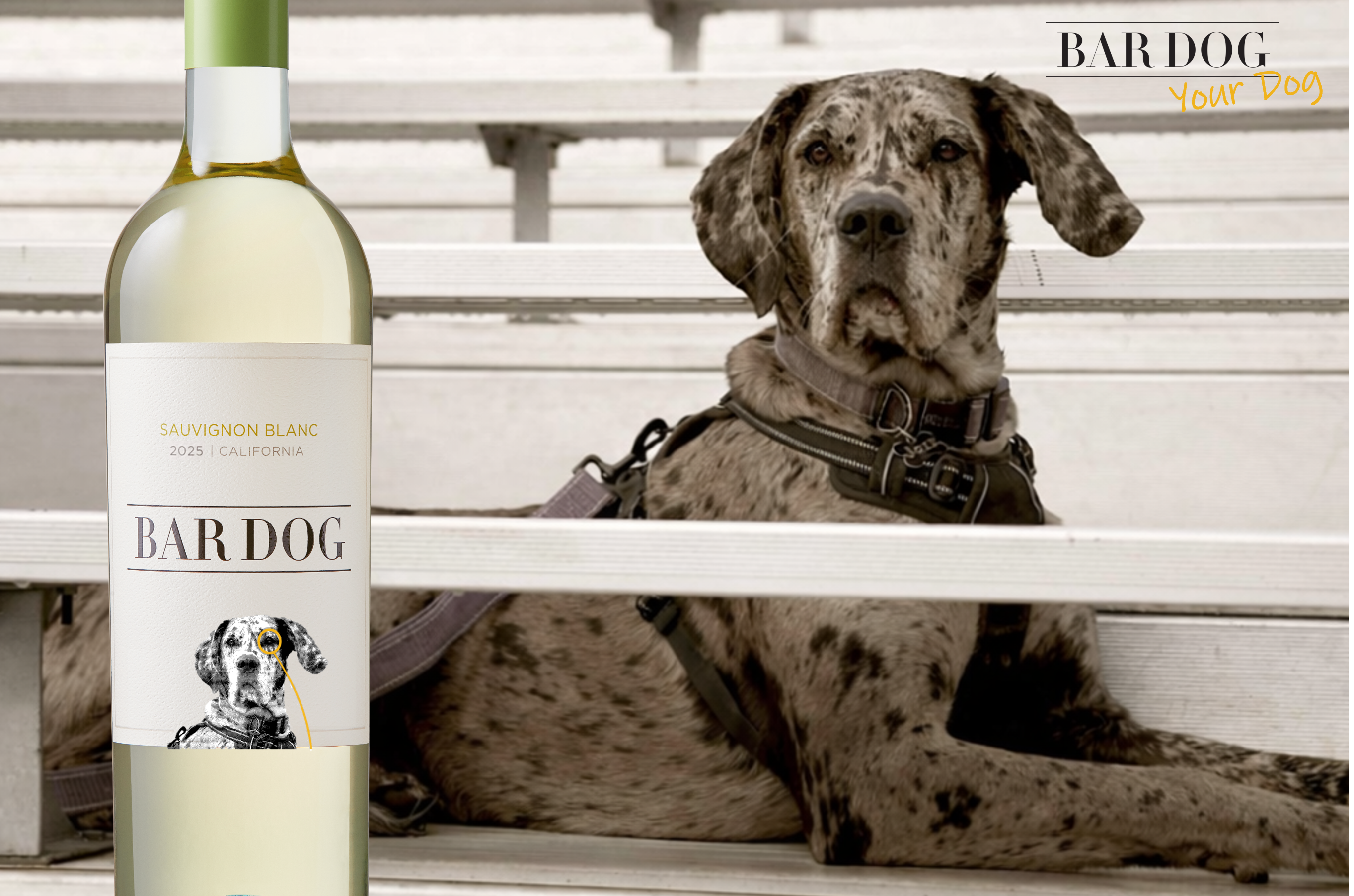 'Make Your Dog Famous' Bar Dog Wine