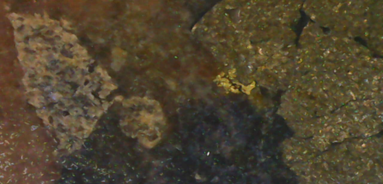 Visible Gold (Red Circles) Associated with Pyrite and Galena Veinlets and Disseminations within Episyenite Host Rock at Butiã Gold Deposit. This sample from drillhole 23BT014 spans the interval 245.0 m to 246.0 m and grades 8.4 g/t gold.