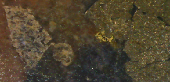 Visible Gold (Red Circles) Associated with Pyrite and Galena Veinlets and Disseminations within Episyenite Host Rock at Butiã Gold Deposit. This sampl