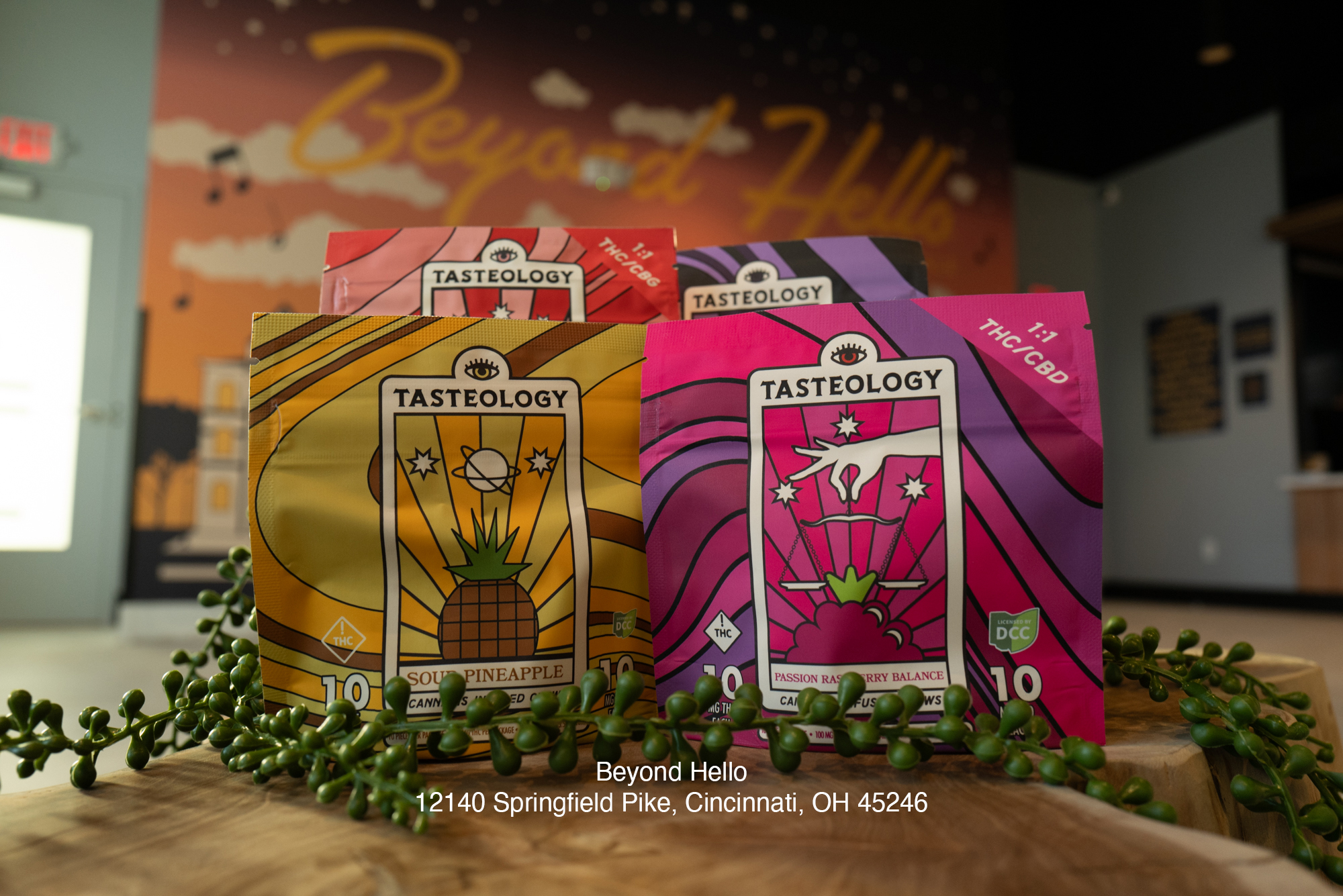 01-21-2026 Springdale OH Tasteology