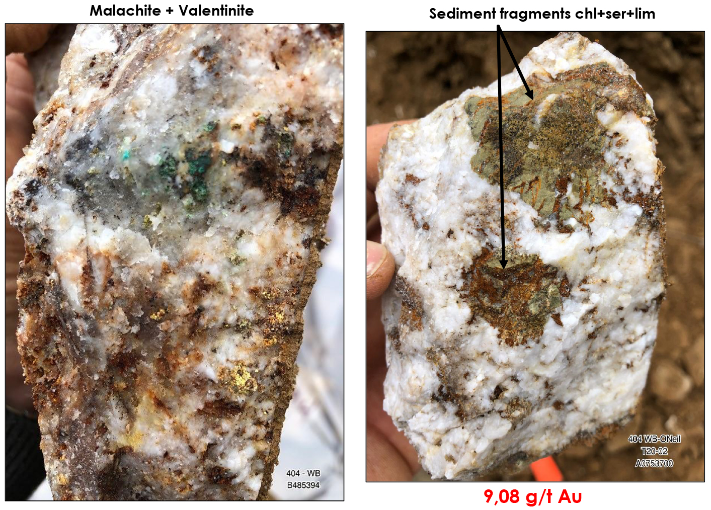Figure 4: Mineralization at the Lynx Gold Zone