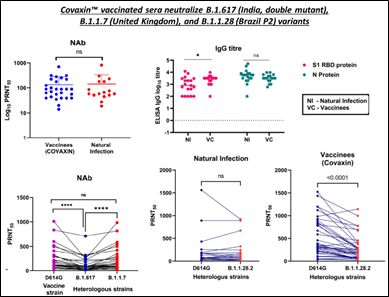 Ocugen: Neutralizing antibody response of COVAXIN vaccinated sera against SARS-CoV-2 strains