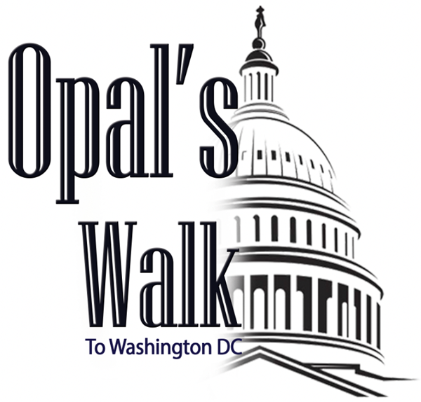 Opal's Walk 2 DC Logo.