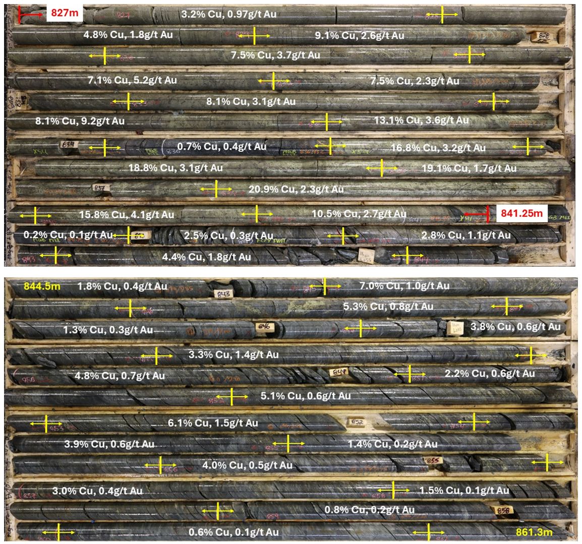 Core photographs for MUG25-202 showing the new very high grade core zone.  This convergent zone consists of the upper VMS zone (827m-841.25m) that grades 14.3m @ 13.7% CuEq and the adjacent broad FWZ stringer-style mineralisation.  This is part of the broader step-out intersection of 49.0m @ 6.1% CuEq that is the deepest hole drilled into the Ming Deposit to date.