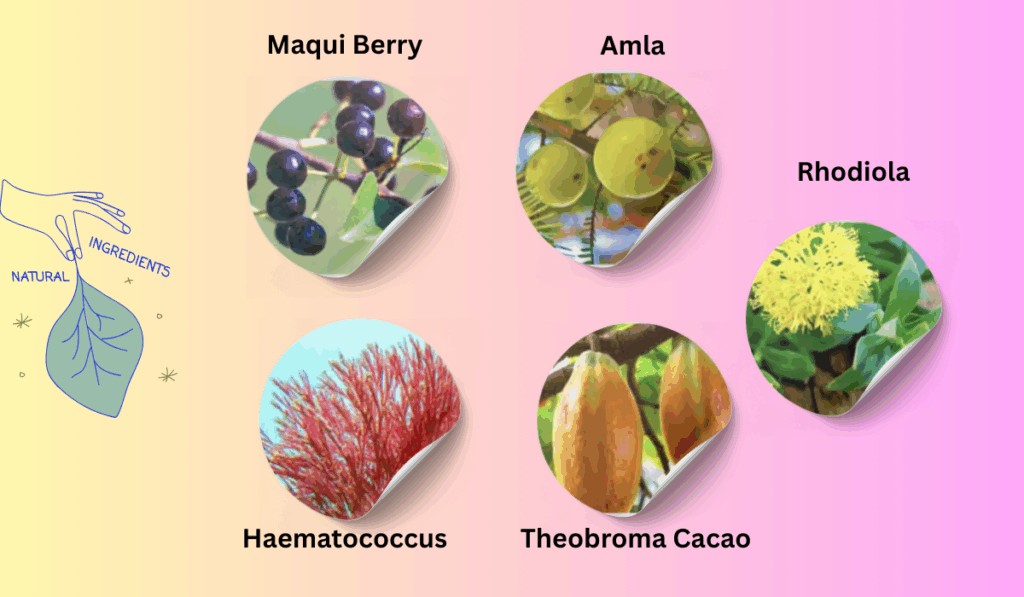 Ingredients in Mitolyn