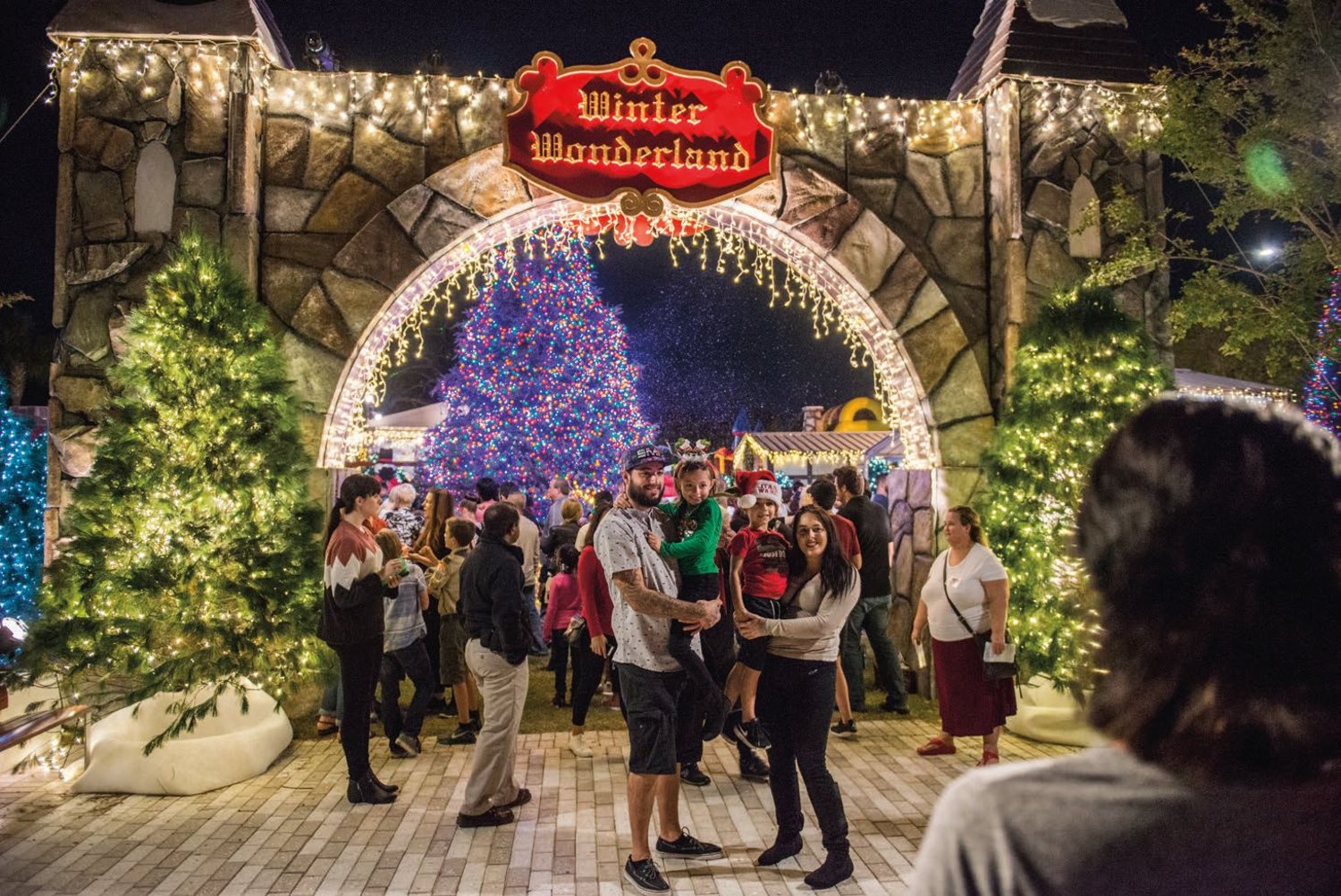 Christmas Trees decorate Winter Wonderland