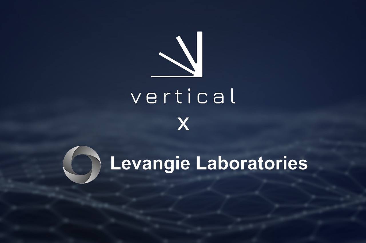 Vertical AI