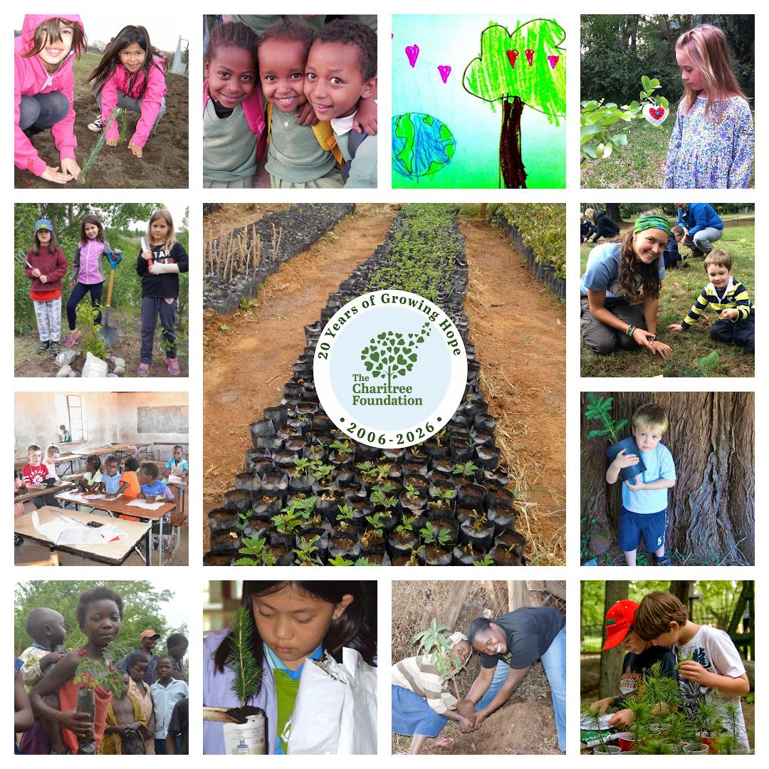 20 Years of Planting Hope