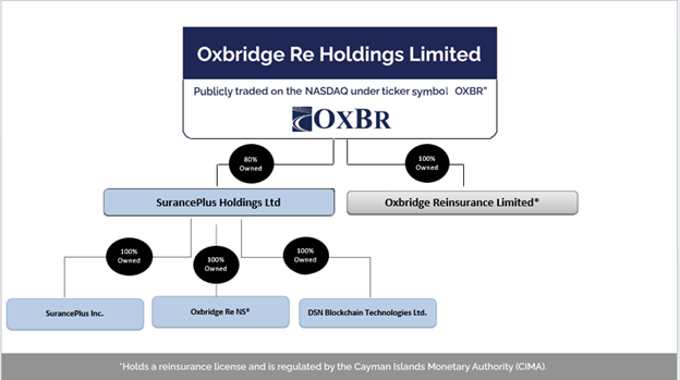 Holds a reinsurance license and is regulated by the Cayman Islands Monetary Authority (CIMA).