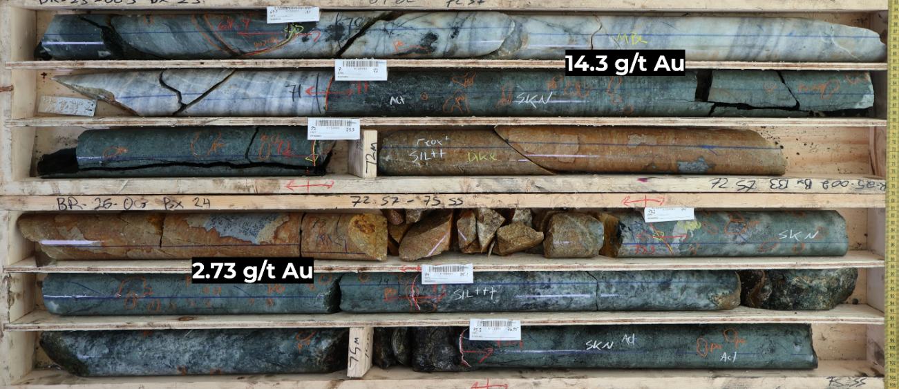 Figure 2 image