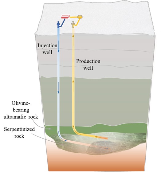 Conceptual example of Geologic Hydrogen Extraction wells targeting serpentinized ultra mafic rocks, process involves a process similar to fracking, stimulating, and hydrogen recovery. (3)