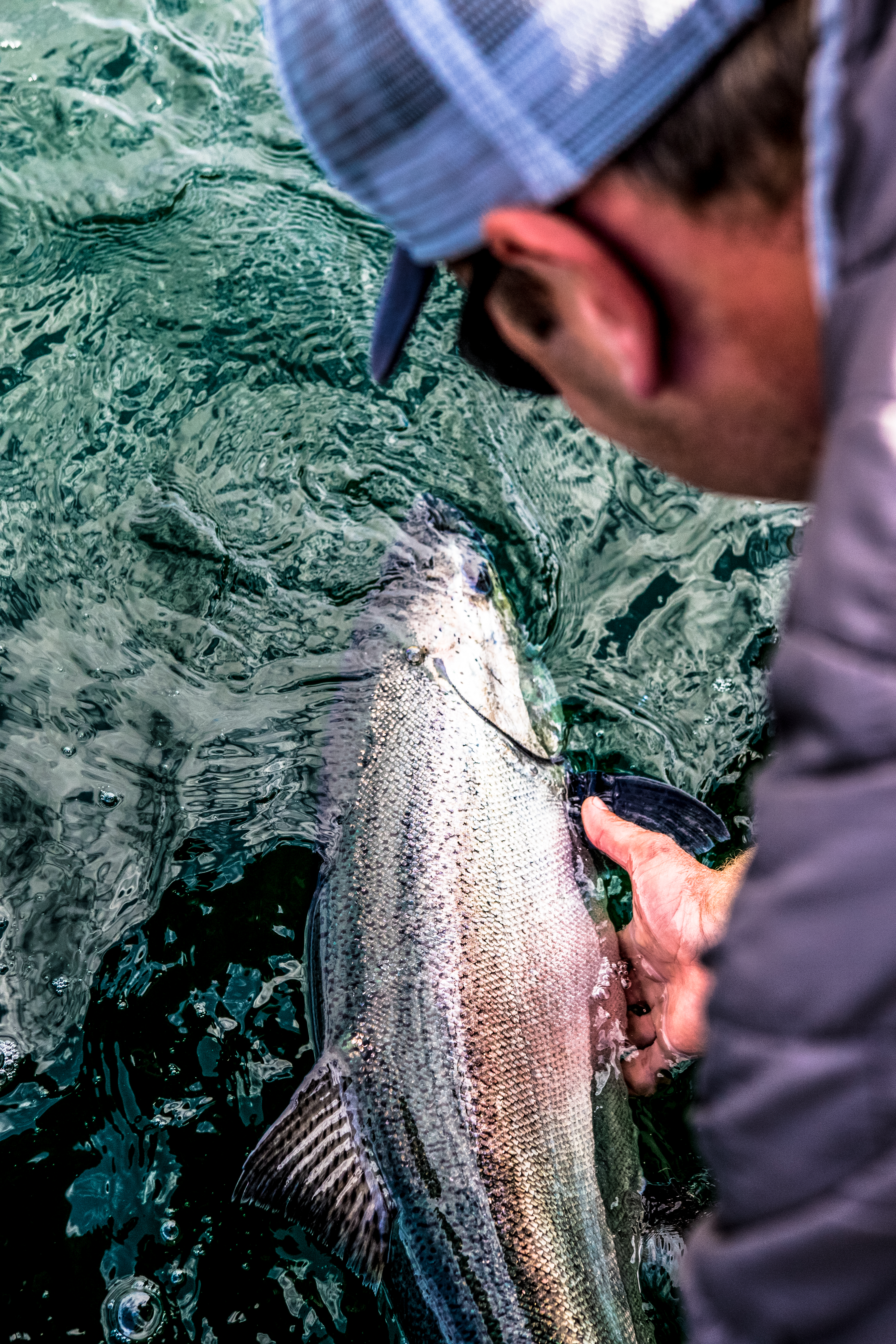 Destination Campbell River Catch and Release CREDIT Austin Heffelfinger