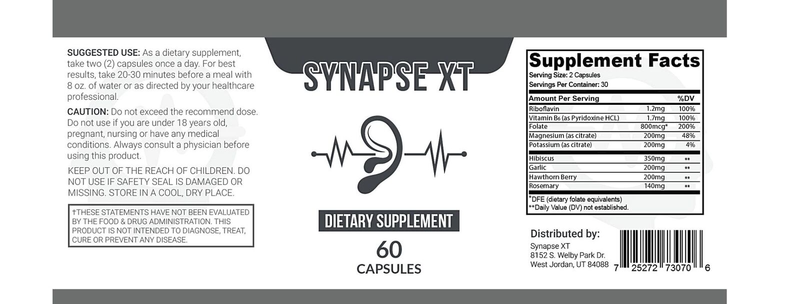 Synapse XT 