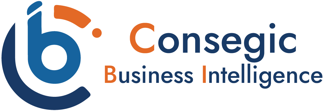 Consegic Business Intelligence