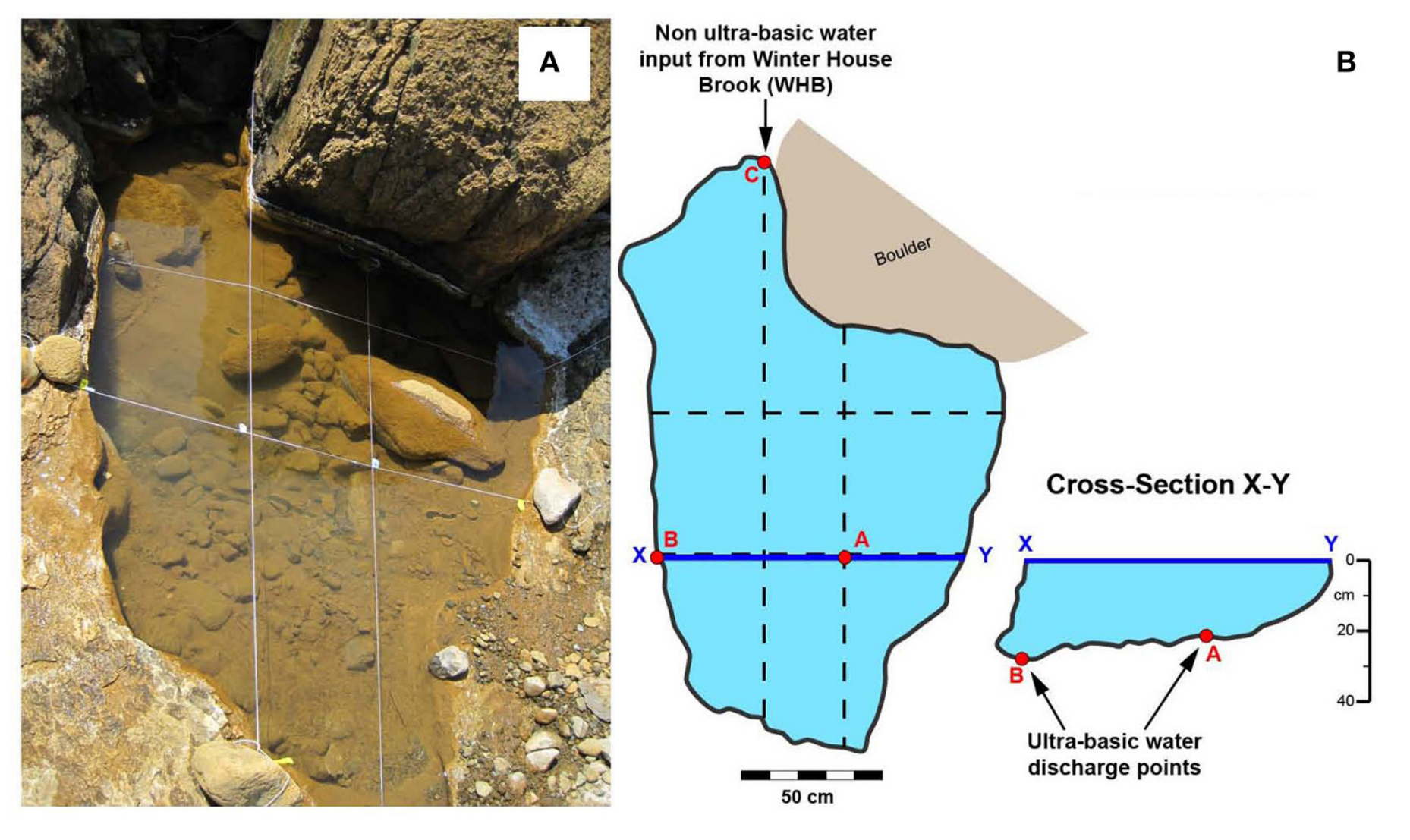 Photograph of Winterhouse ultra-basic pool.