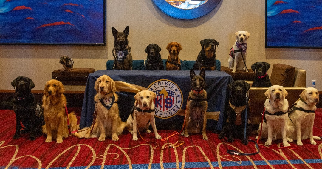 Crisis Response Canines