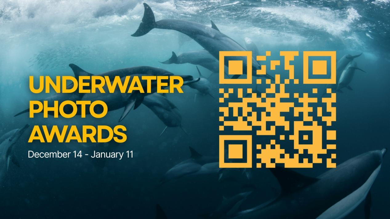 UNDERWATER PHOTO AWARDS