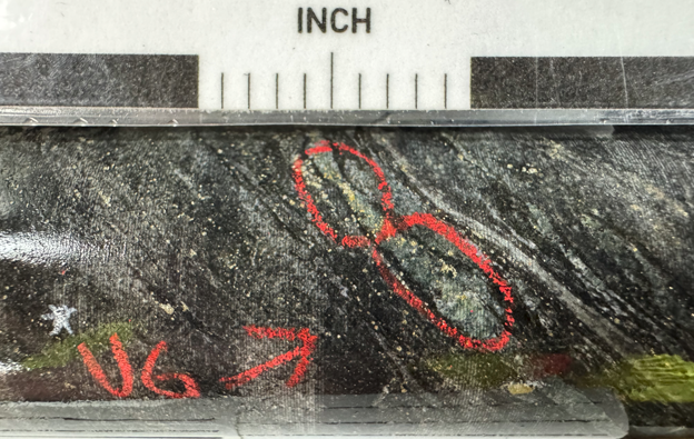 Figure 5_vg