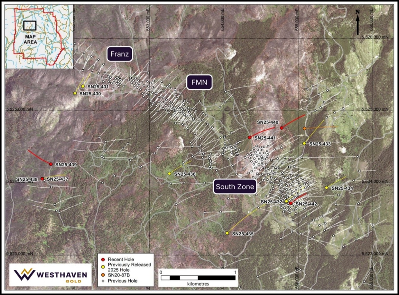 Figure 1 image