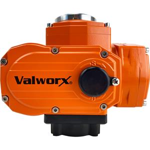 Featured Image for Valworx, Inc.