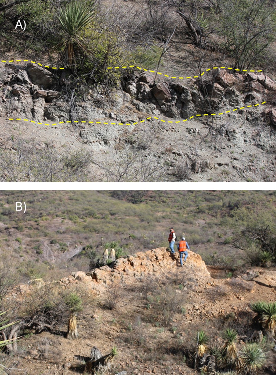 Figure 1 image