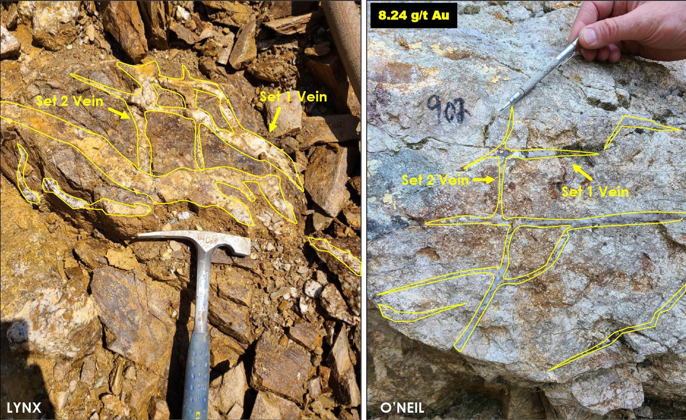 Figure 3: Two Main Veins Sets Hosting the Gold Mineralisation from O’Neil to Lynx