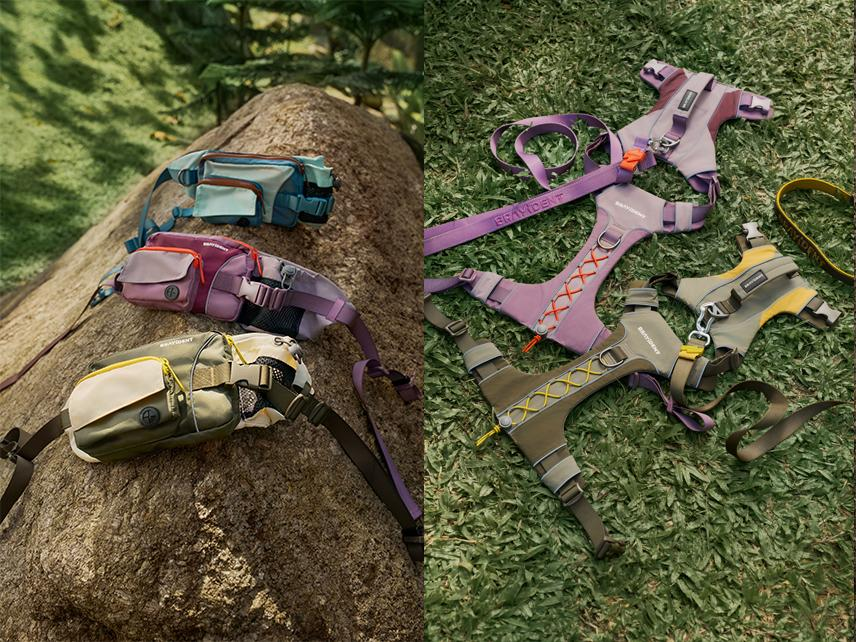 Bravident Extends Holiday Sale as Demand Surges for Its Walk Adventure Kit Deals to Help Dog Owners Finally Say Goodbye to Chaotic Walks