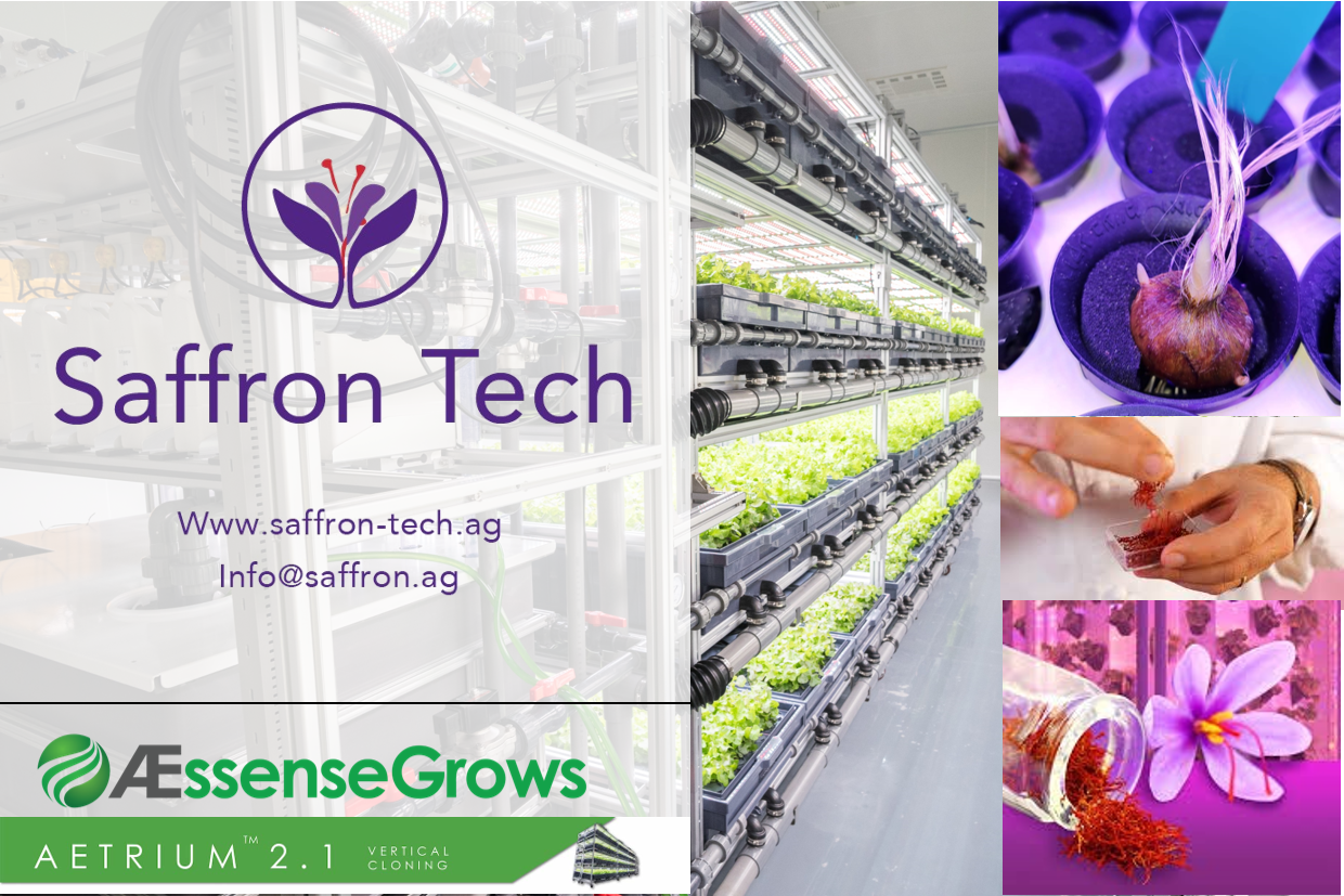 Seedo Corp Saffron AEssenseGrows SmartFarm (003)