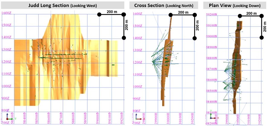 Figure 6 – Judd Resource Lode Wireframe Long Section