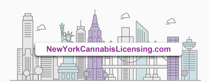 CS Consulting Offers Cost-Effective and Time-Efficient Cannabis License Application Templates for New York State