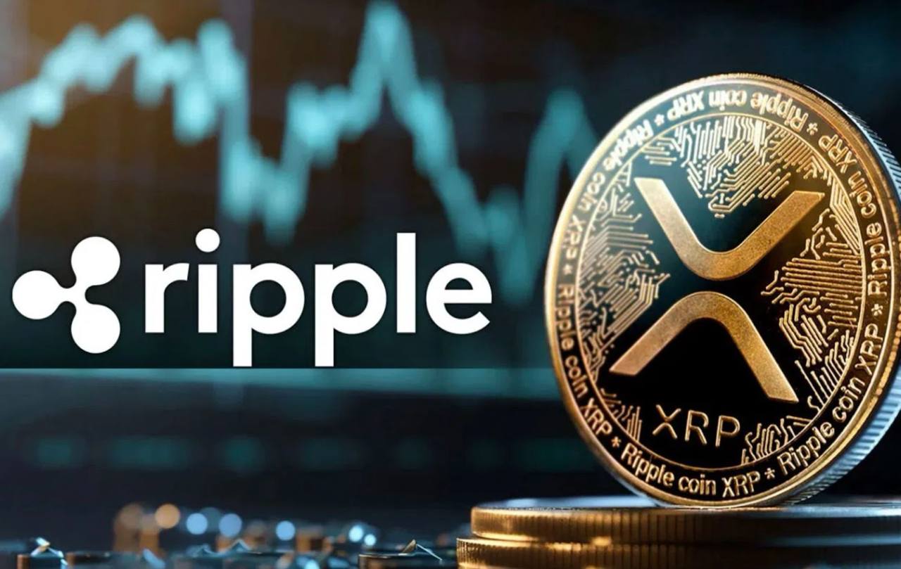 XRPTurbo