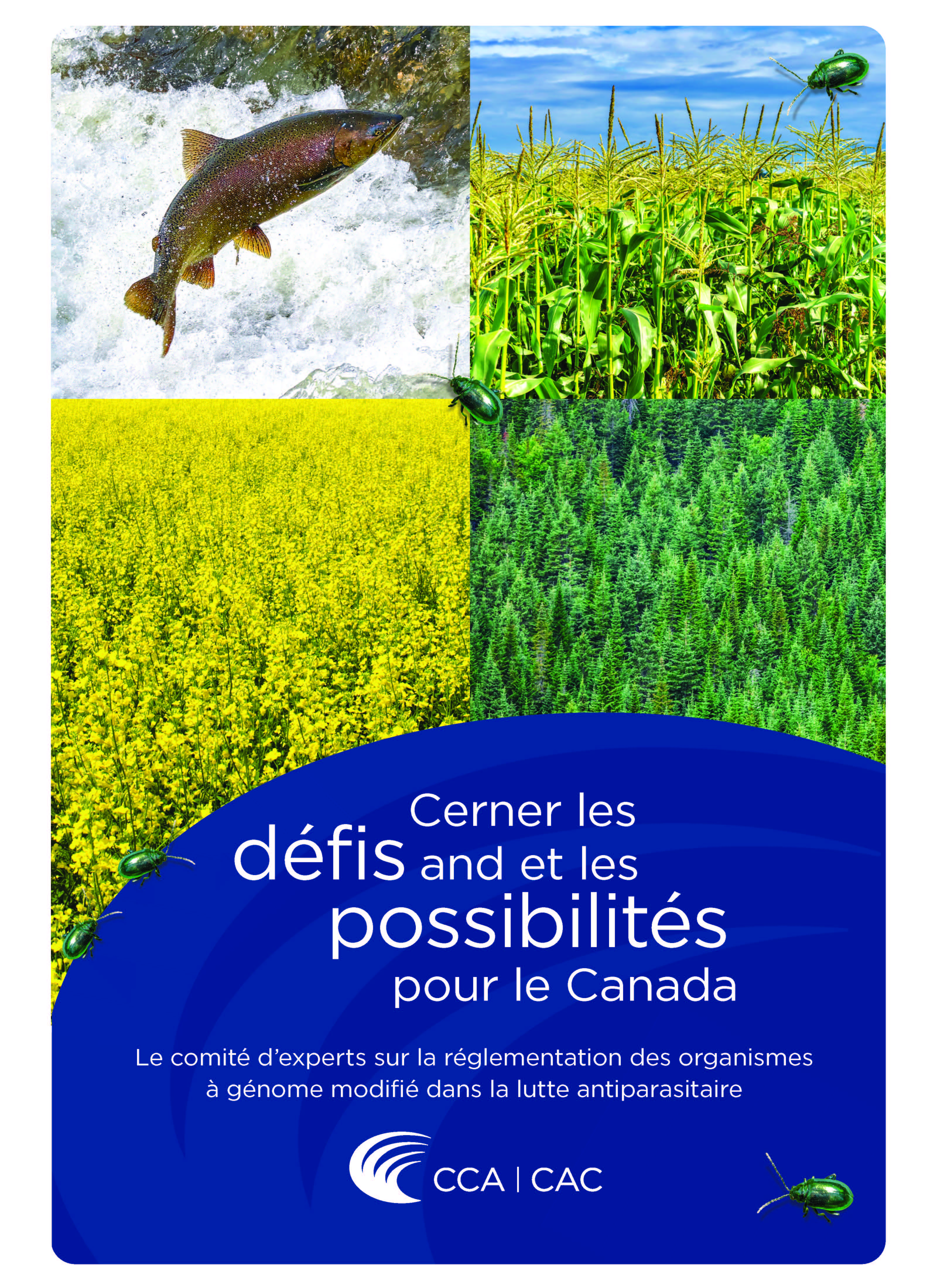 Cerner les défis et les possibilités pour le Canada