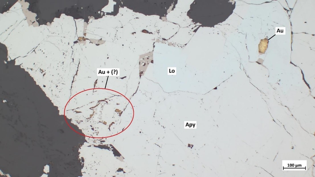 Löllingite (Lo) partiellement rétrogradée en arsénopyrite (Apy) contenant plusieurs inclusions d’or natif (Au)