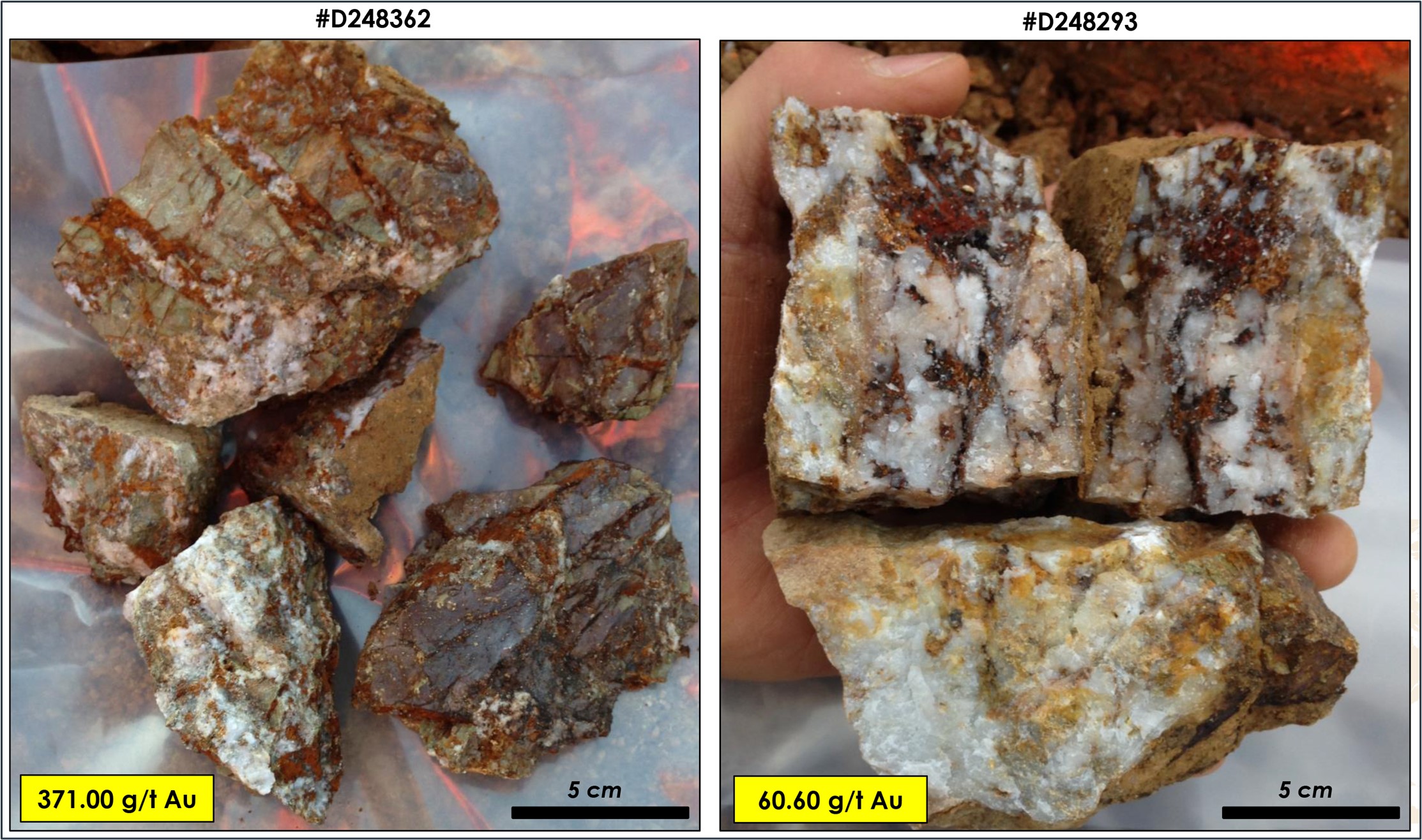 Figure 2: Samples collected at surface at the OGT