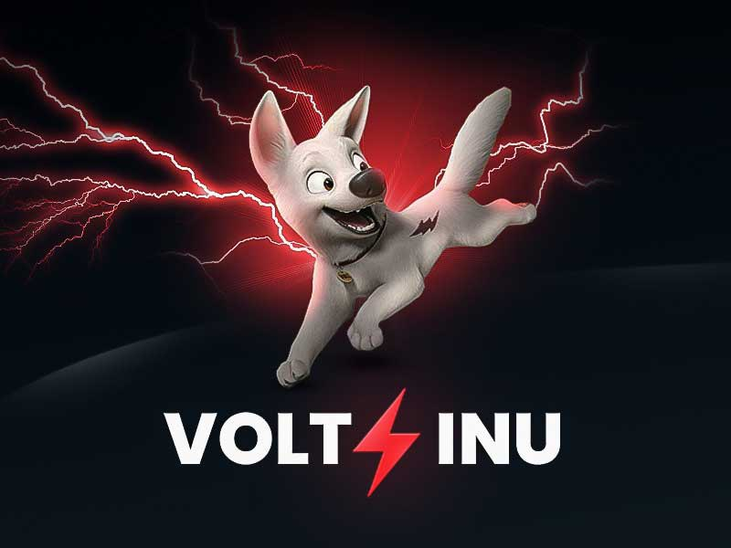 Volt Inu Logo.png