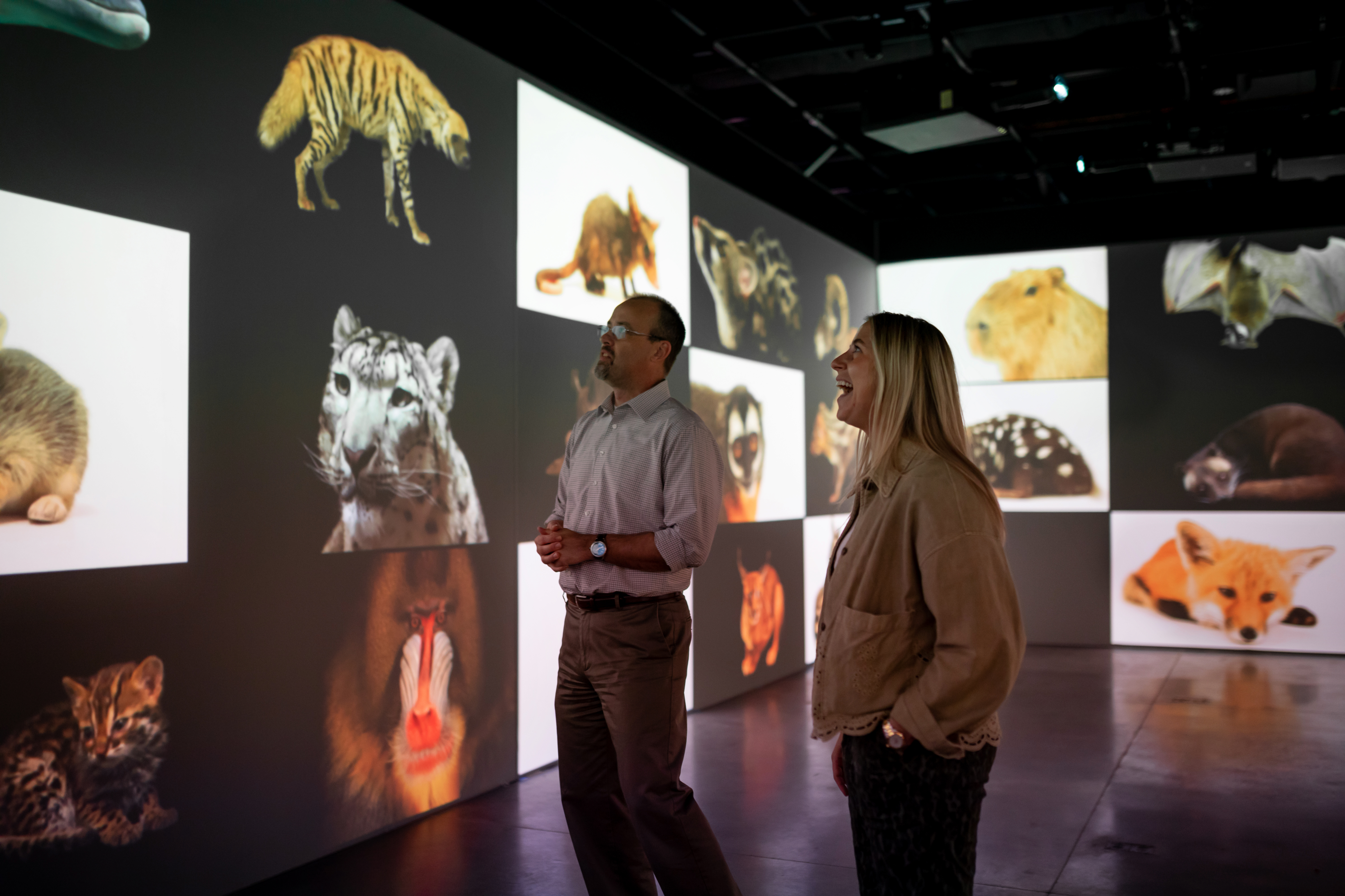Photo Ark_ Animals of Earth, Moment Factory