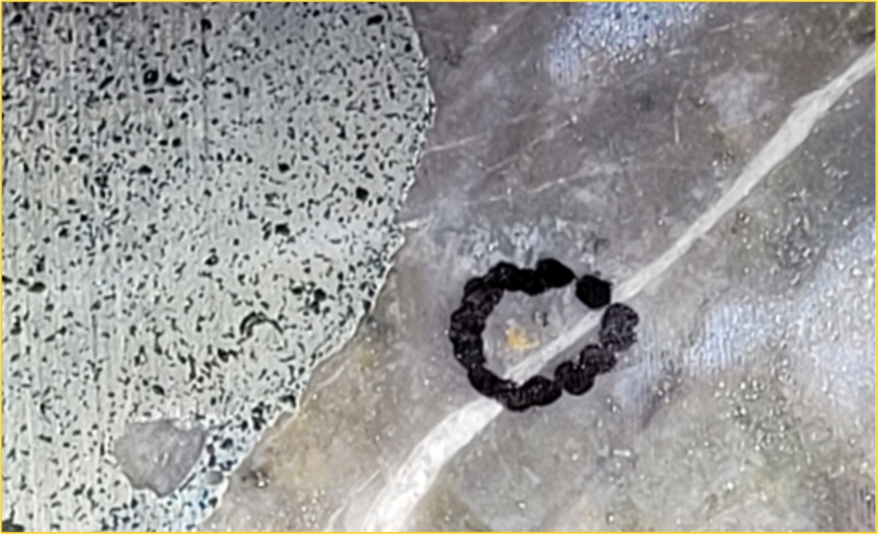 Drillhole 20MT-002 returned 0.6 metres grading 30.9 g/t gold from 261.00 metres. Visible gold within aphanitic glassy matrix of silica adjacent to quartz-carbonate veinlet interpreted as a lamprophyre dyke (left side of slide). Lamprophyre dyke has absorbed subangular glassy quartz fragment (bottom left side of photo) Field of view estimated to be 2 centimetres. This hole was drilled 289.10 metres, representing a vertical depth of 250.40 metres.