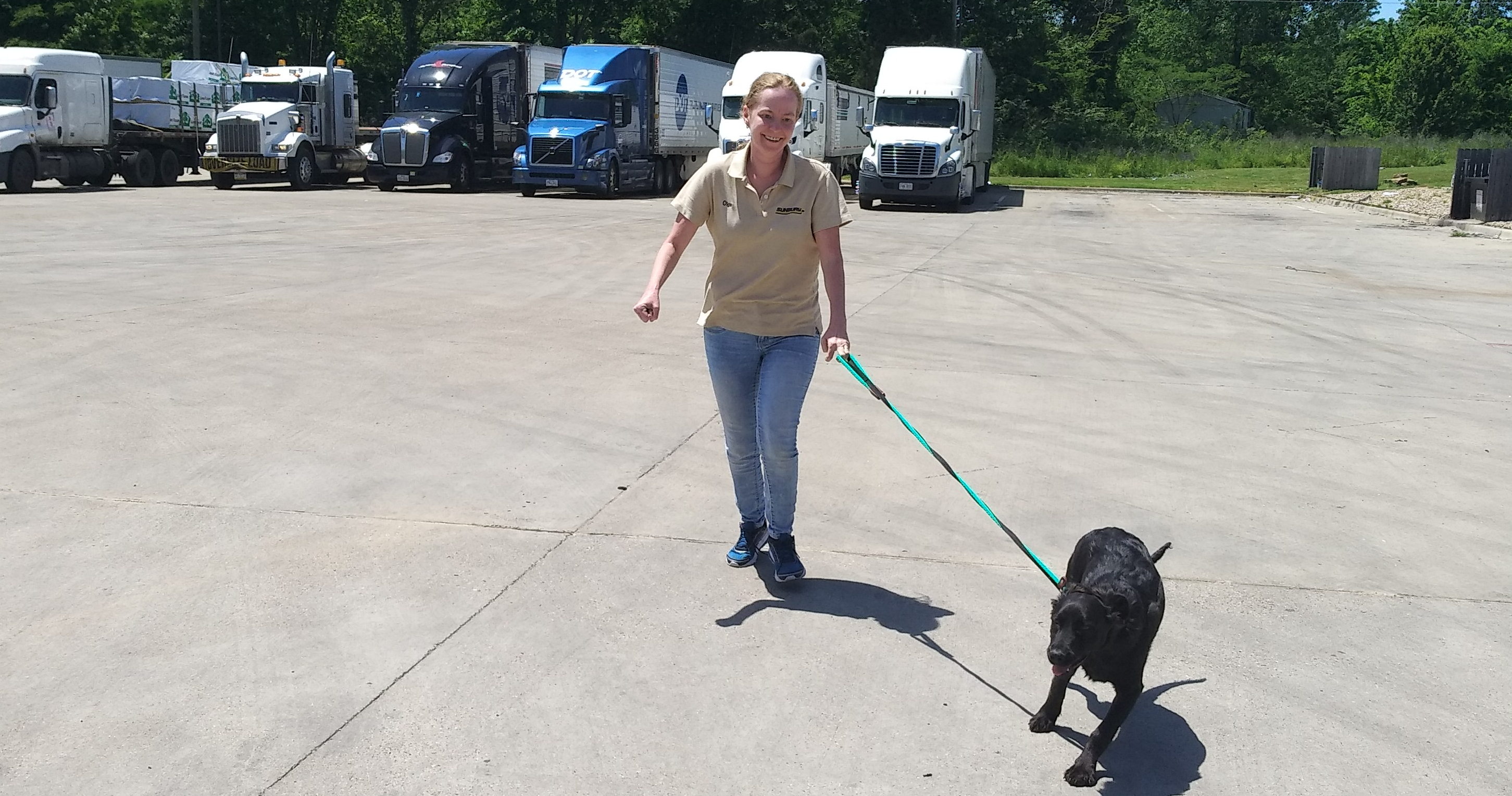 Sunbury Professional Drivers