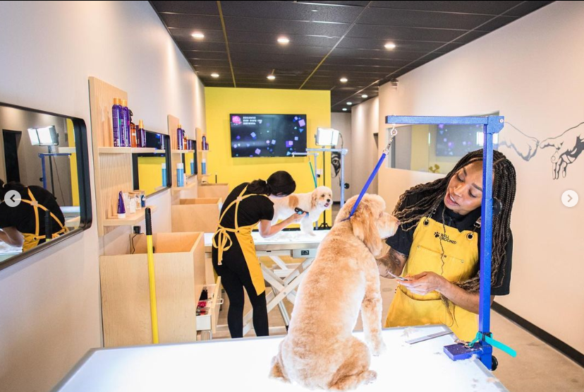 Two female dog groomers each grooming a dog on clean, well-lit tables.