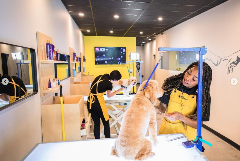 Dogs and their groomers enjoy a clean, calm grooming space in all Well Groomed locations.