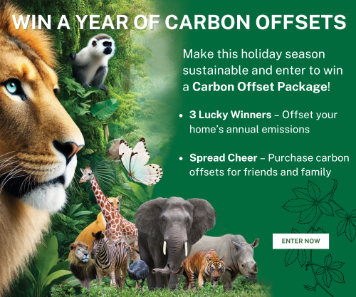 Offset Your Carbon Footprint