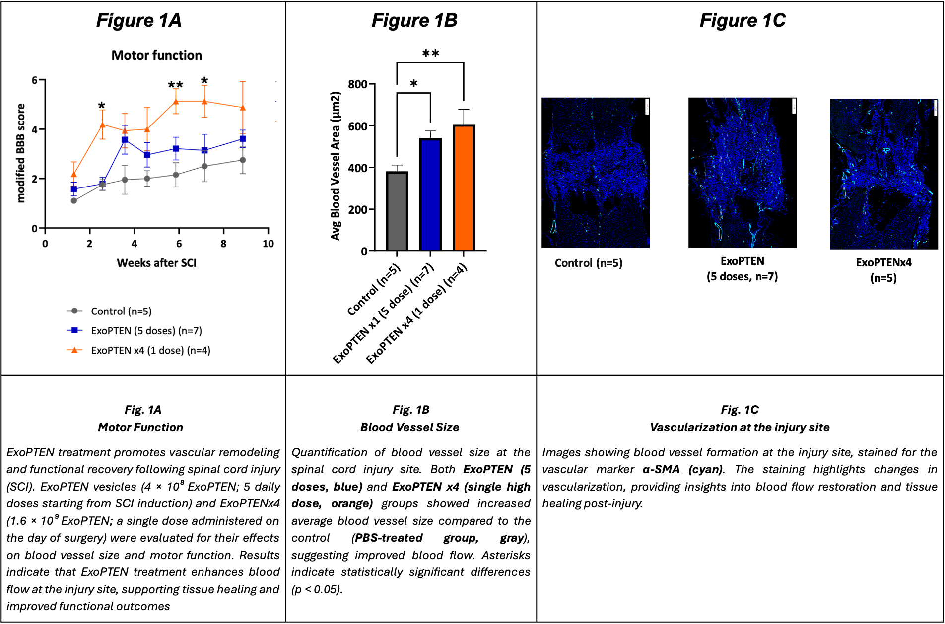 ExoPTEN Preclinical Study Demonstrates Significant Potential for ...