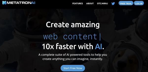 MetatronAI.com is a generative artificial intelligence service based on cutting-edge language processing that sets a new standard in the industry. 
