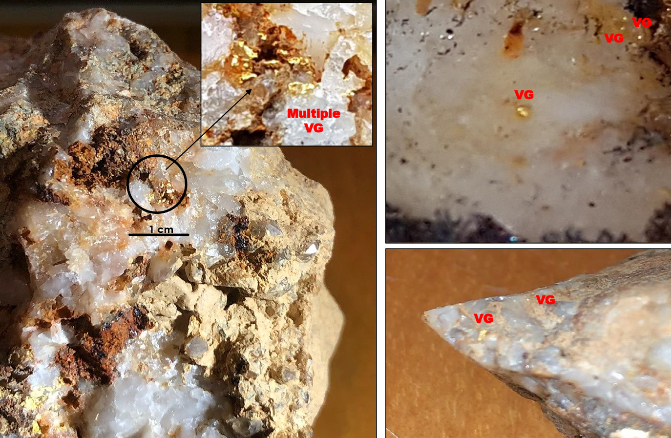 Figure 1: Additional Visible Gold Discovered at Lynx Gold Zone