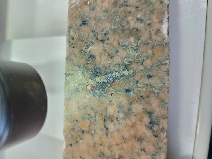 Visible Gold (Red Circles) Associated with Pyrite and Galena Veinlets and Disseminations within Episyenite Host Rock at Butiã Gold Deposit. This sample from drillhole 23BT014 spans the interval 245.0 m to 246.0 m and grades 8.4 g/t gold.