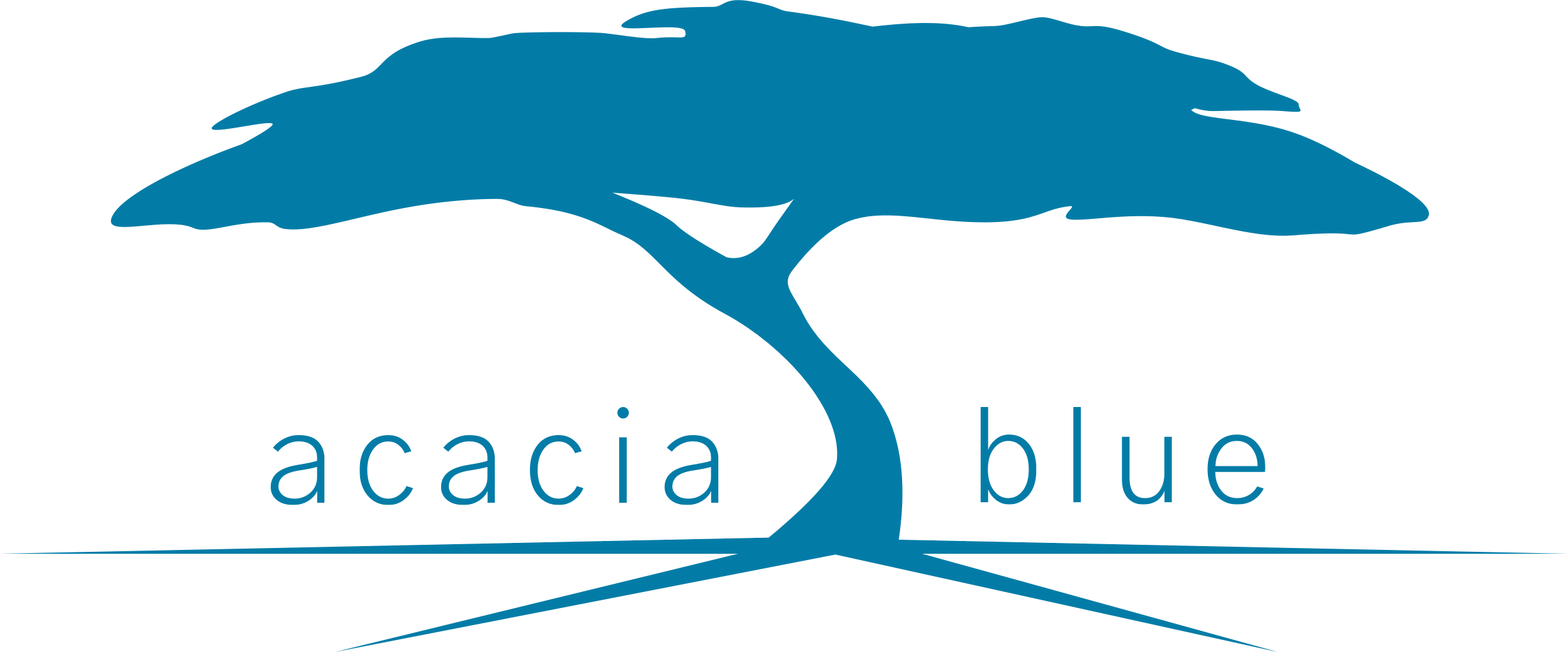 acacia blue