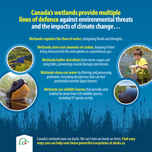 Canada’s wetlands provide multiple lines of defence against environmental threats and the impacts of climate change.