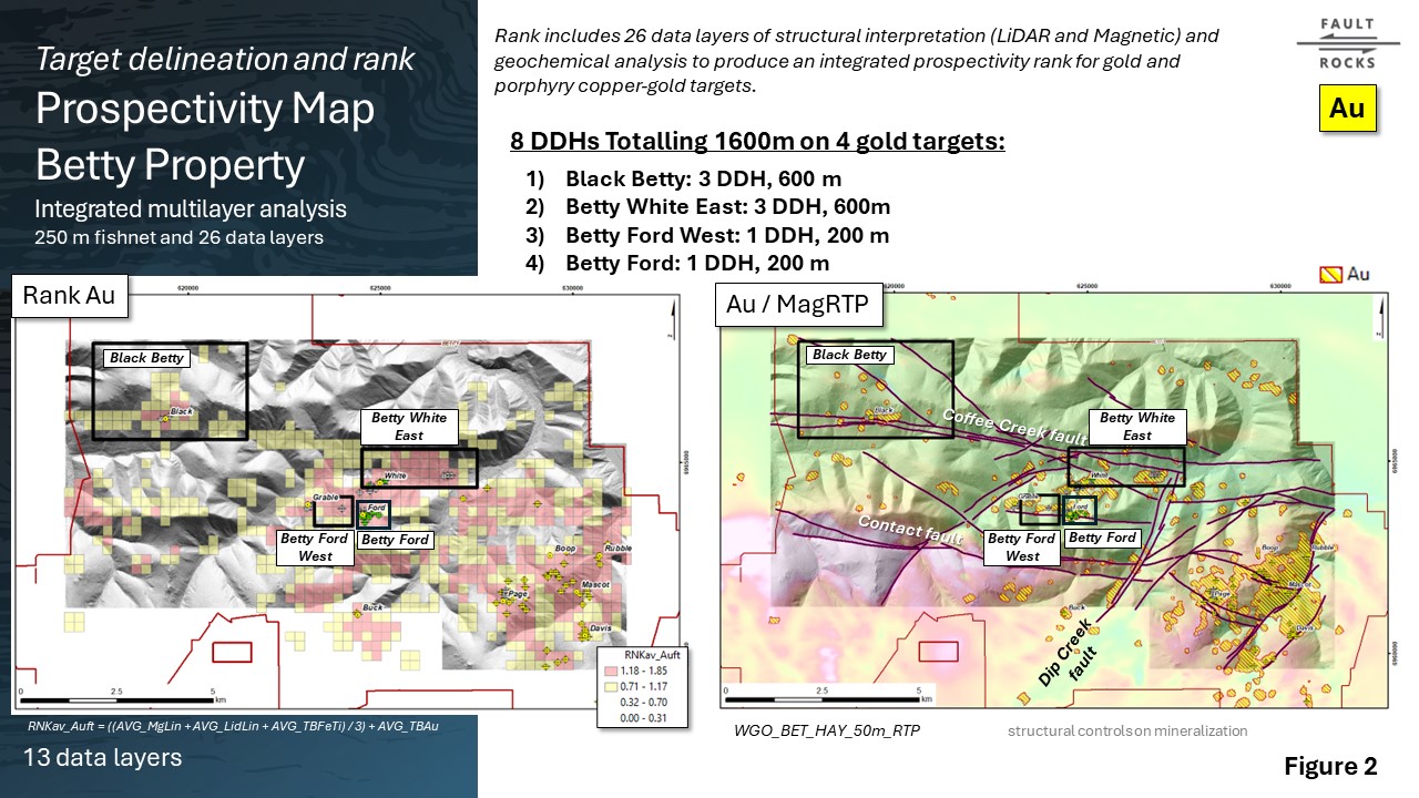 Figure 2 Betty DDH Targets